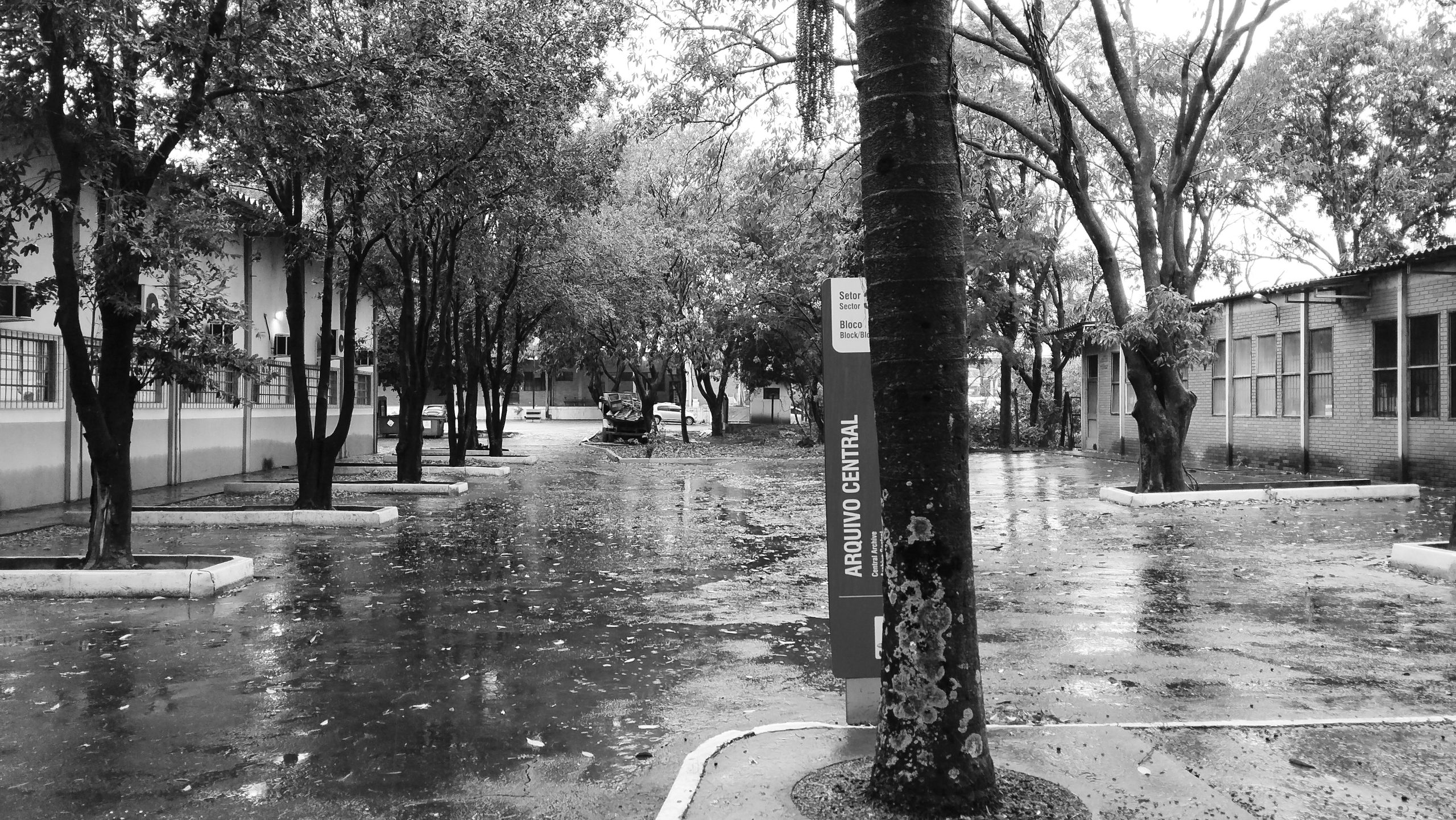 Chuva, Memórias e Arquivos da UFMS - Daiany Glaciela Souza Melo