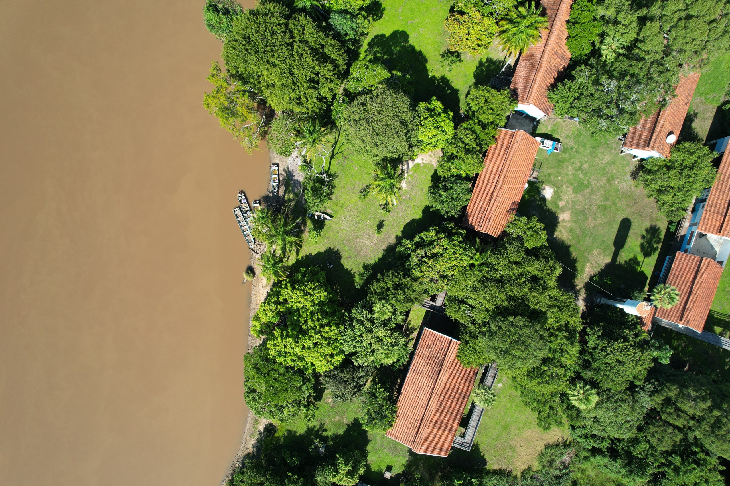 A BEP: Encontro da Ciência com a Natureza nas Margens do Rio Miranda - Isabella Favero